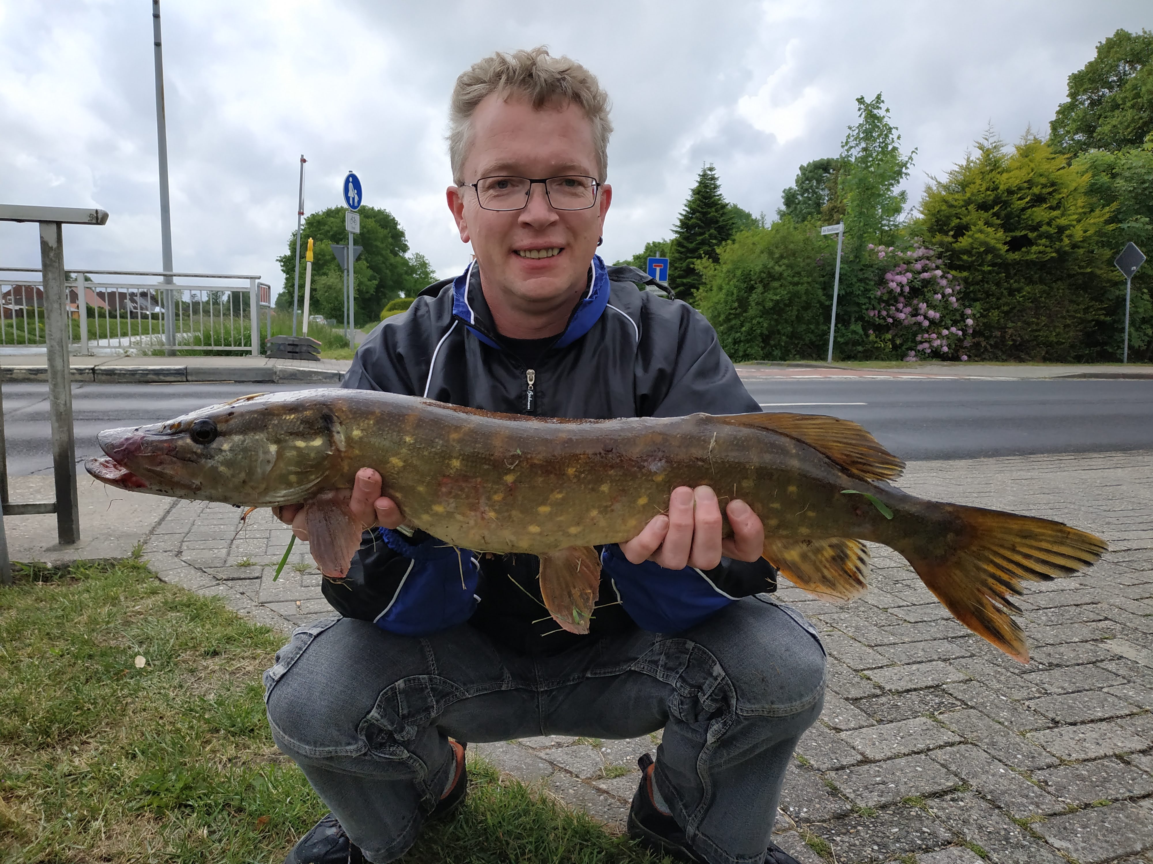 Hecht 72cm